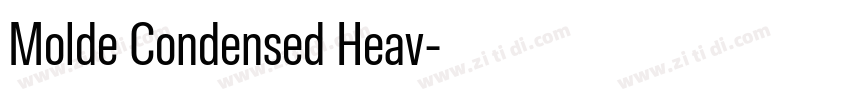Molde Condensed Heav字体转换 Molde Condensed Heav字体转换